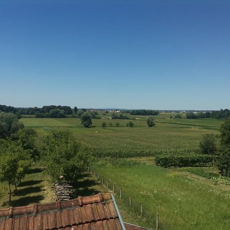 Apartman Sipa Bjelovar Dış mekan fotoğraf