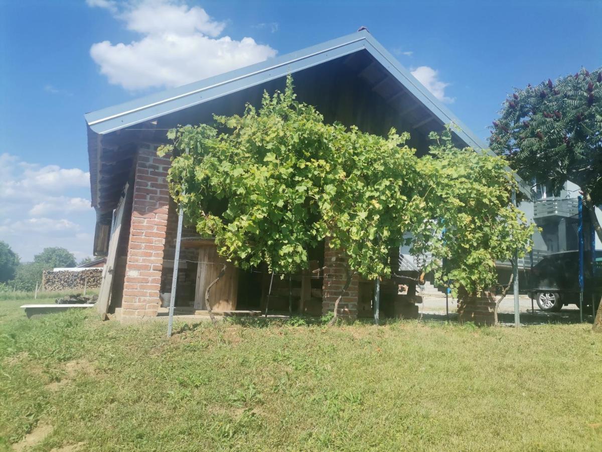 Apartman Sipa Bjelovar Dış mekan fotoğraf